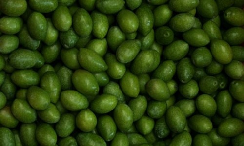 Φυσική παρασκευή πράσινης ελιάς (κολυμπάτες)