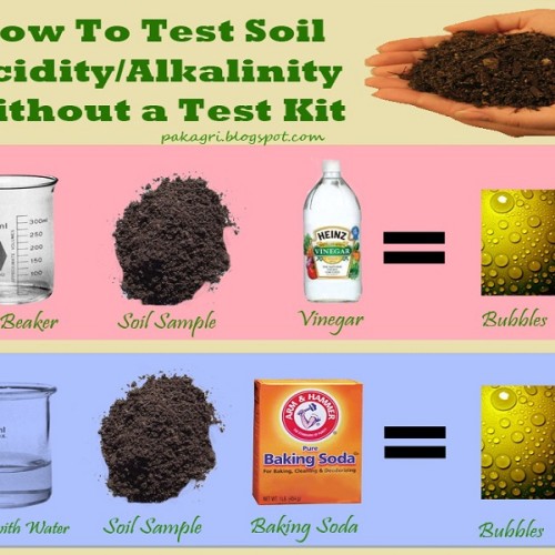 Προσδιορισμός του pH του εδάφους χωρίς τη χρήση του test kit